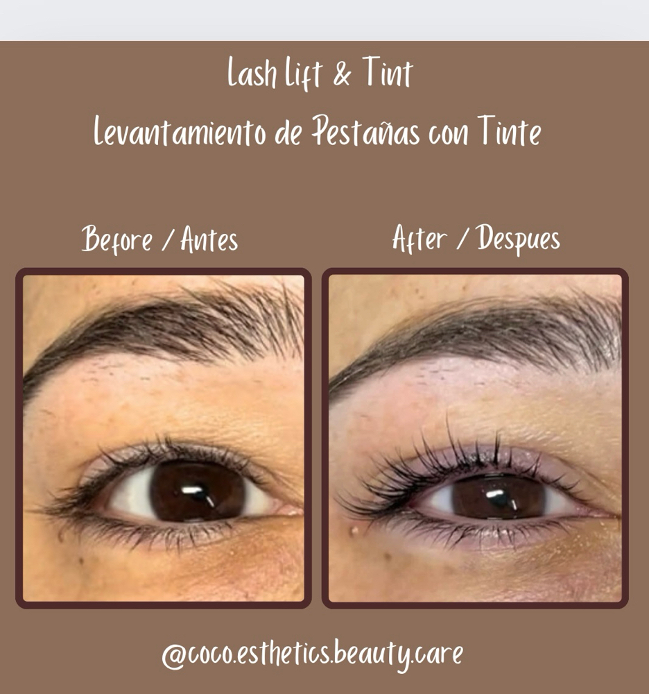 Vegan Lash Lift & Tint