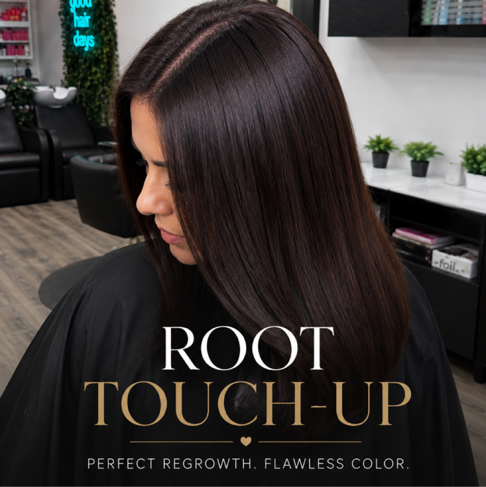 Root Regrowth (Blowdry Included ) at Dania’s Hair Studio in Tampa, FL