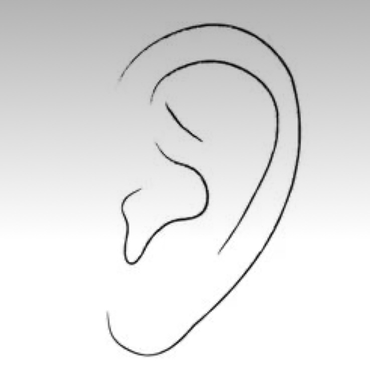Ears