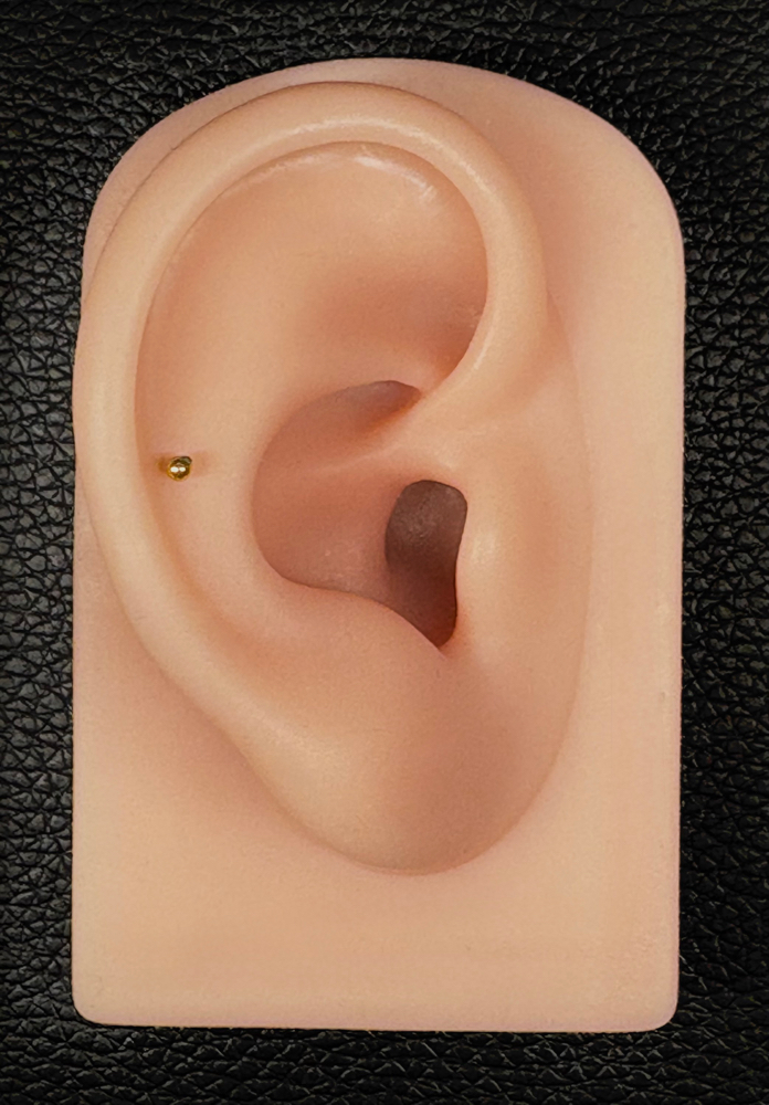 Mid Helix at Anthem Piercing & Tattoo in North Salt Lake, UT