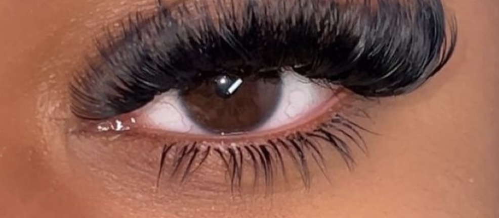 BOTTOM LASHES (pestañas Inferior)