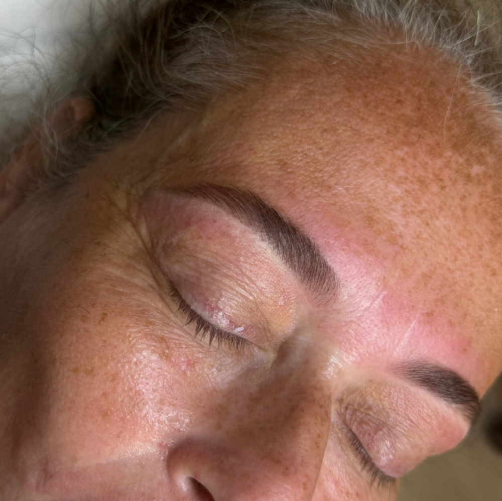 Brow Tint & Wax at Shaped by Aliyah in Boston, MA