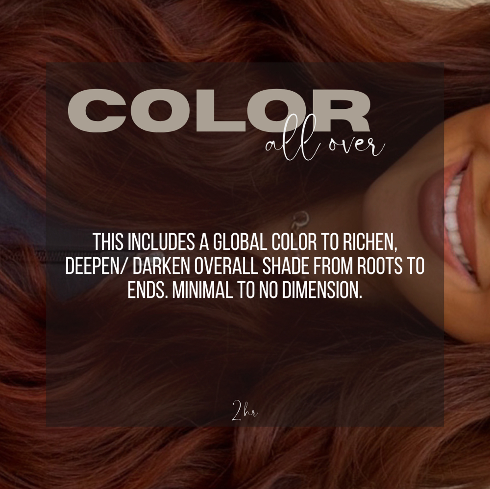 Full Color at Hair By Cassy and Team in Frisco, TX