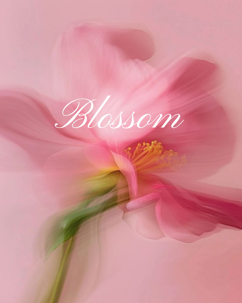Blossom - Transformative Renewal
