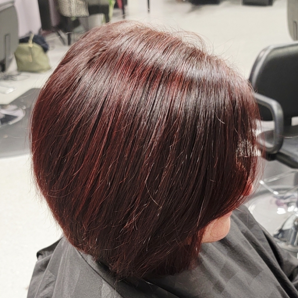 10 Minute Color with Haircut at Hair by Sheila Loccarini in Geneva, NY