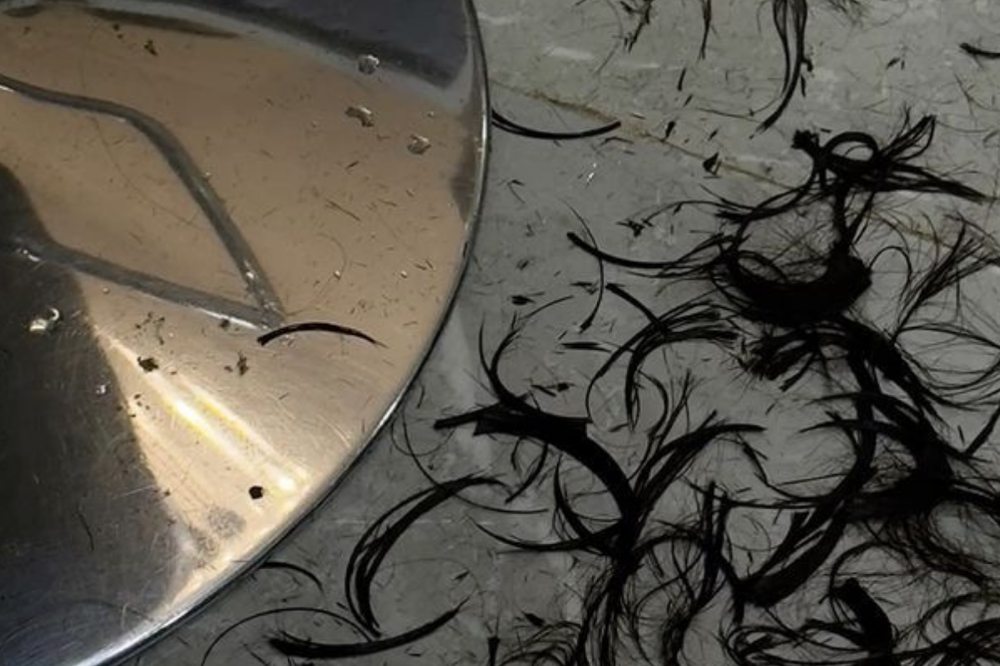 The Cut at blonde & blended in Boardman, OH