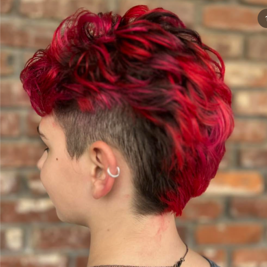 Clipper Cut at Wild Waves Studio in Oak Ridge, TN