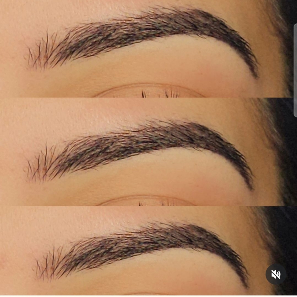 Eyebrow Wax | Lamination | Tint