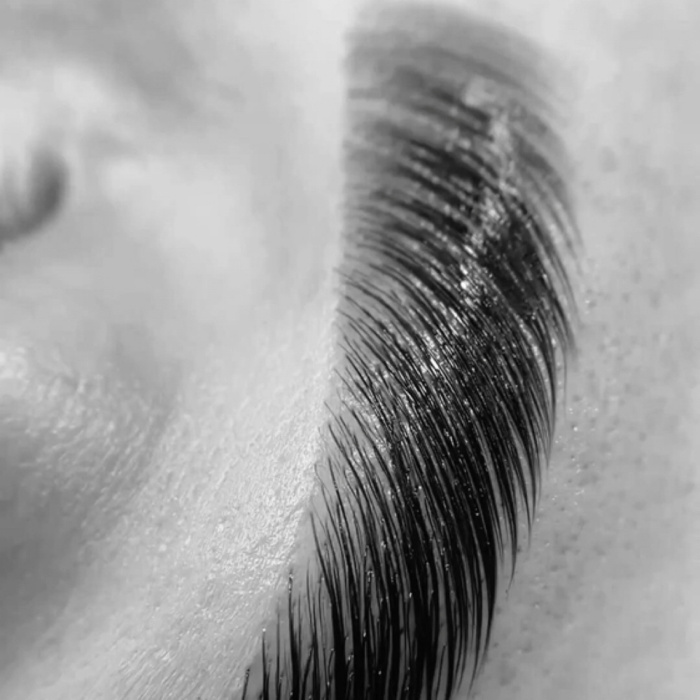 Brow Wax + Tint at Am Luxe Artistry in Orlando, FL