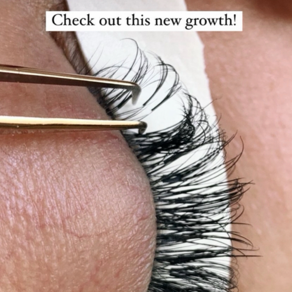 1.5 Hour Hybrid Fill(2-3week Fill) at — Lashing It Up — in Long Beach, CA