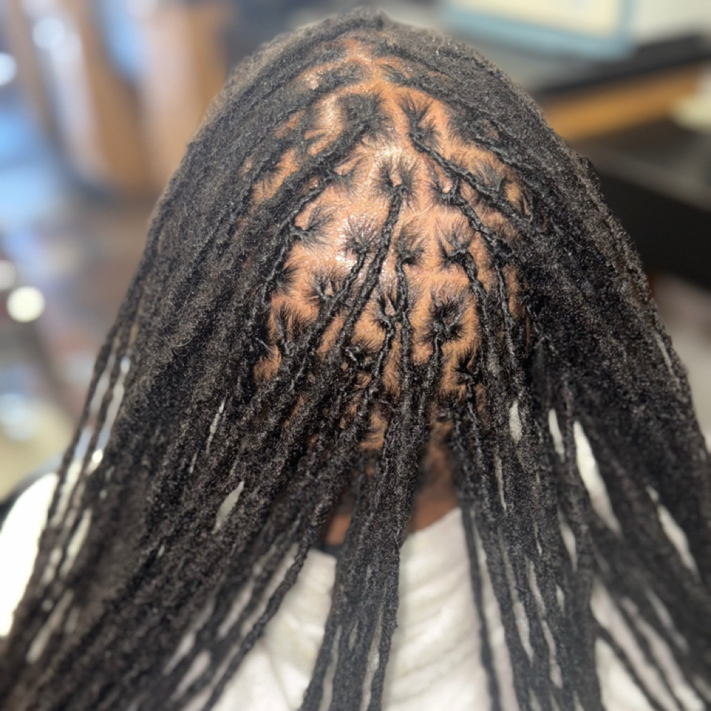76-100 Locs Interlocking at LASHDAE of Roots To Royalty Studio in Phoenix, AZ