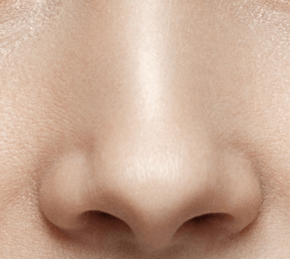 Nose