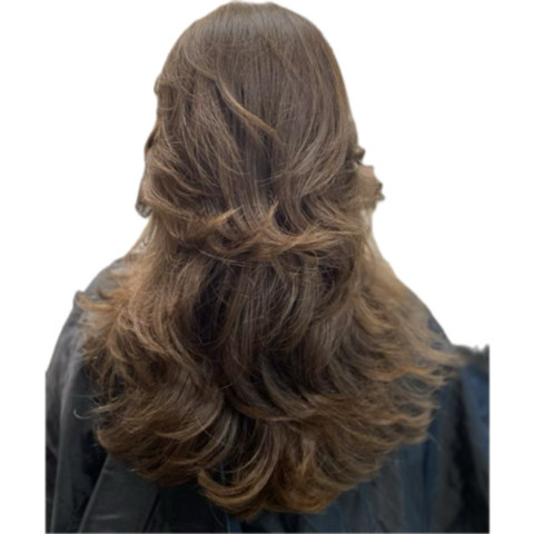Blowdry and Style at The Beauty Parlor by Alex in Watertown, MA