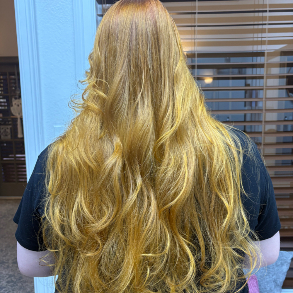 Base Color + Partial Highlights at Hair By Arensman LLC in Plano, TX