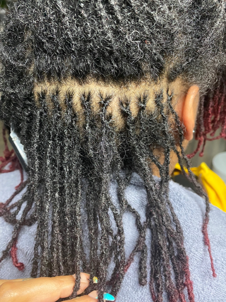 Sisterlocks 10-12 Wks Retie
