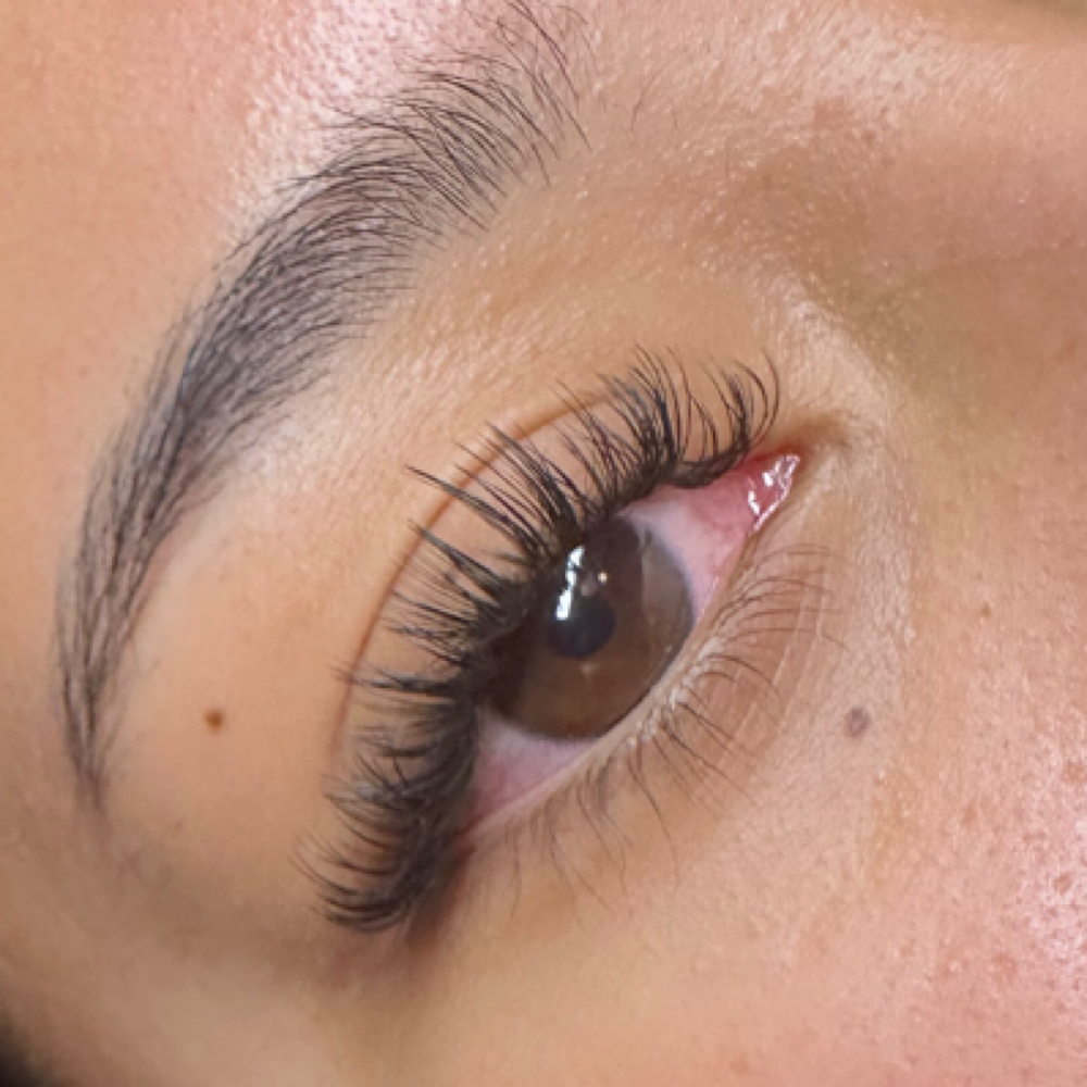 Light Volume Full Set