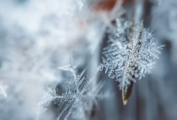 Winter Faerie's Cool Down Facial