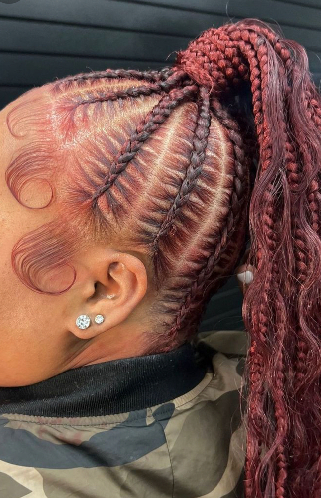 Braided Pony Tail (8-10 Braids)