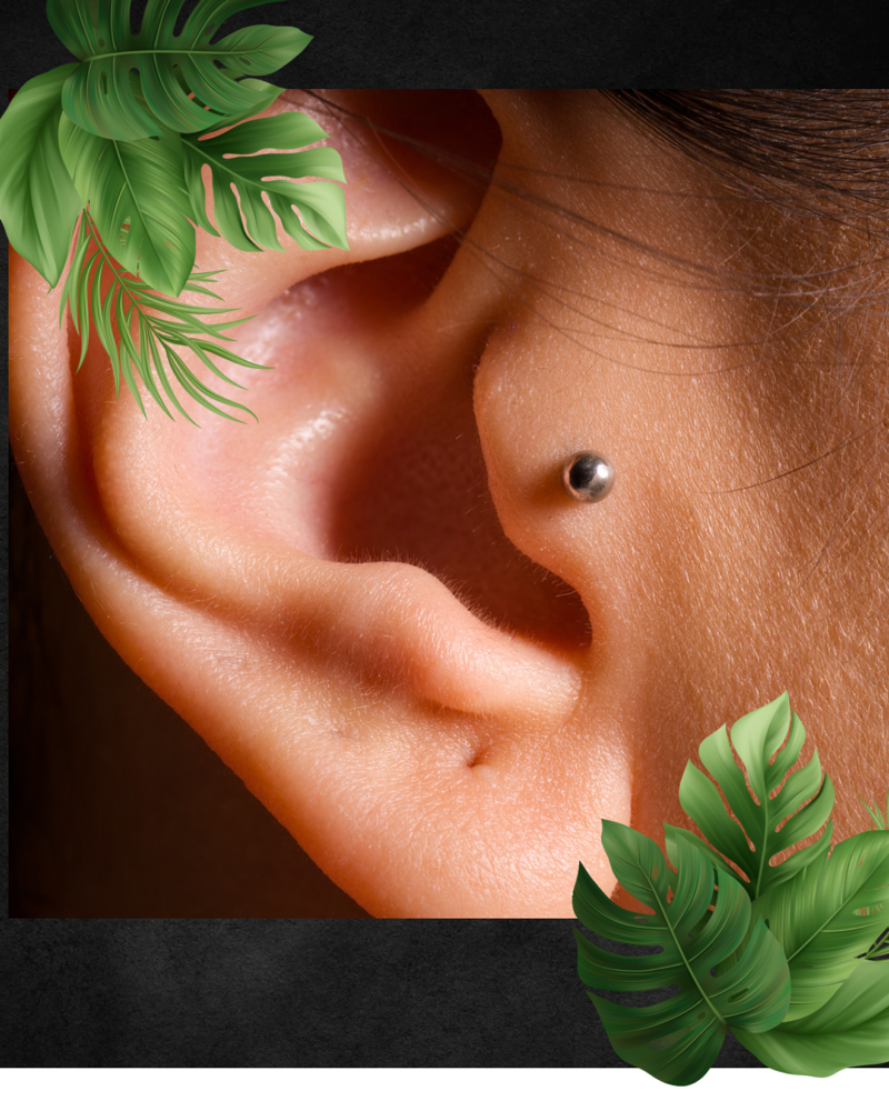 Tragus / Antitragus Piercing