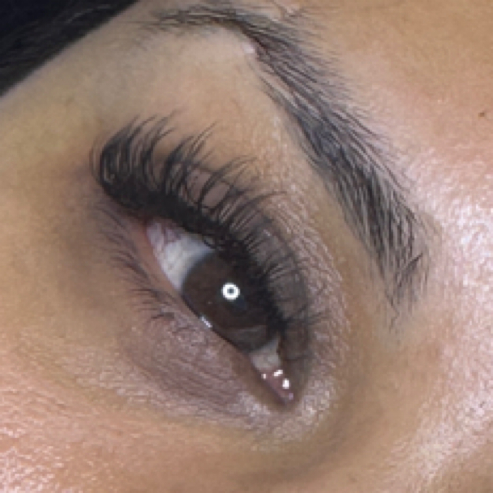 New Client Special-Hybrid Full Set at The Lash Muse in Waterford, MI