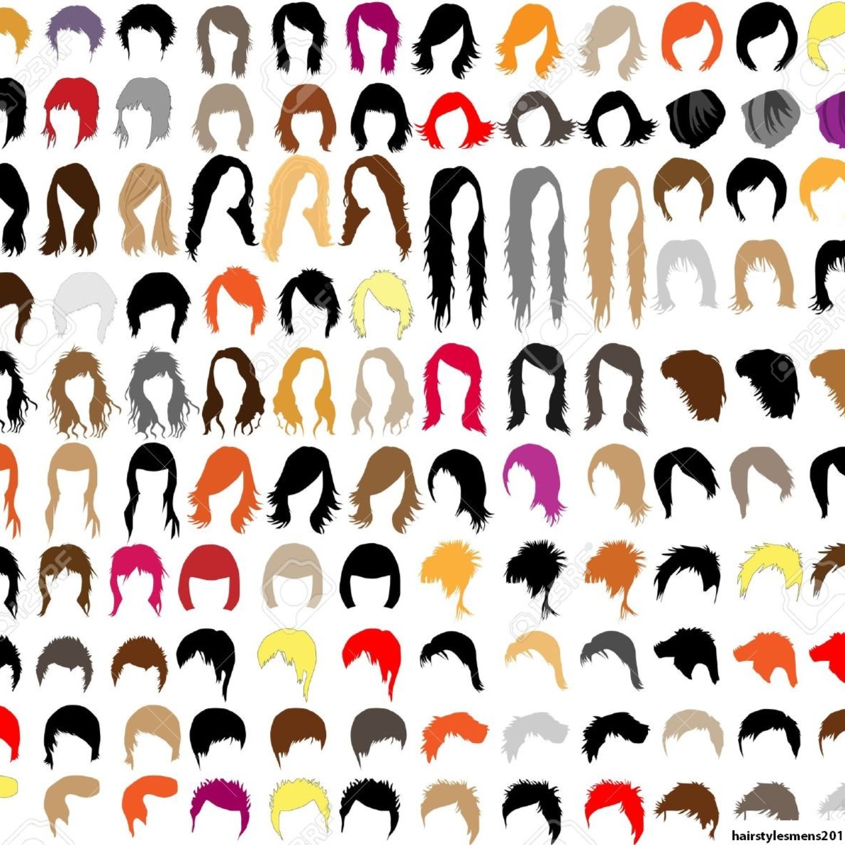 Hair Cut, Shampoo & Dry - Male