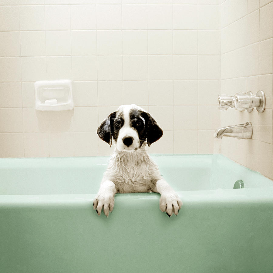 Bath and Blow Out