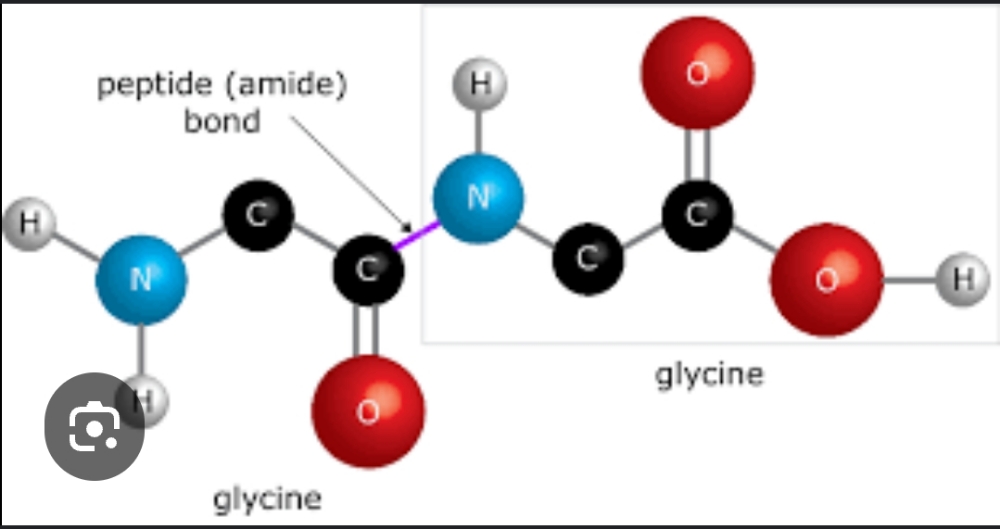 Protein Bonder Mask