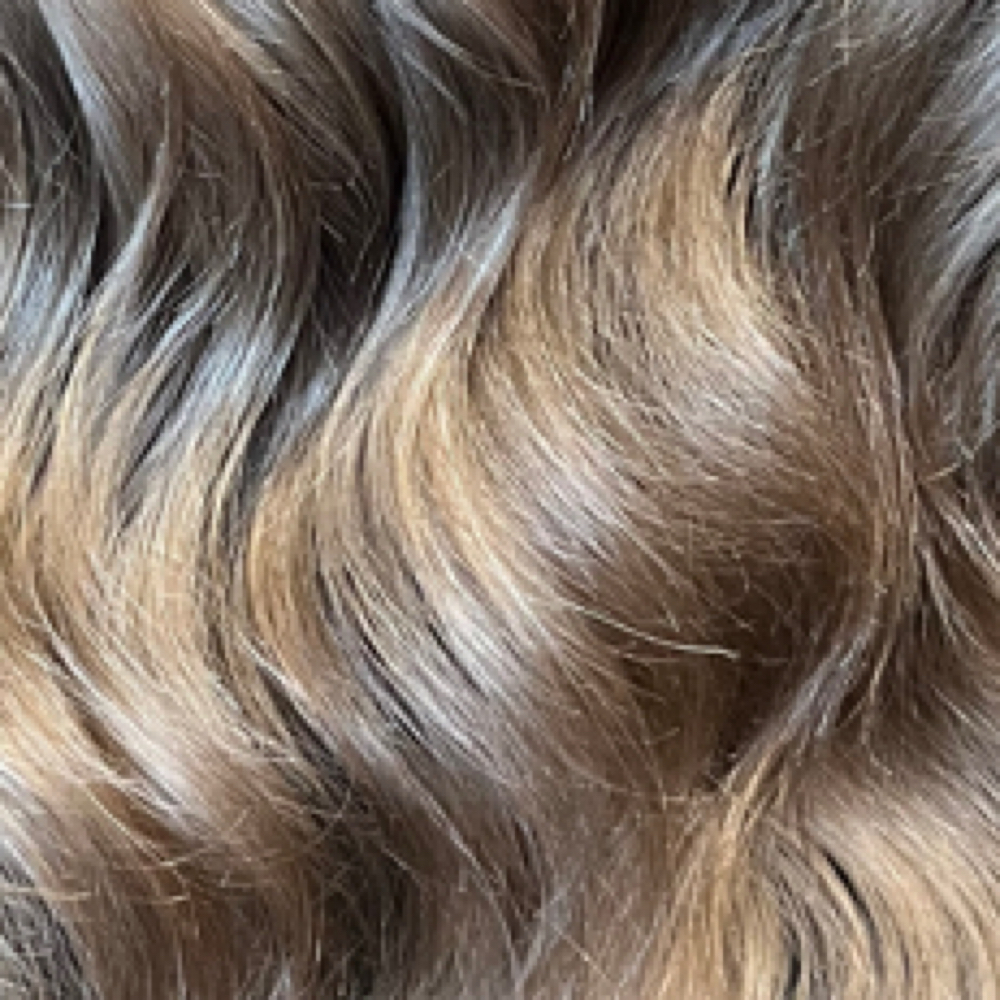 Extension Consultation at The Local Parlor in Charlotte, NC