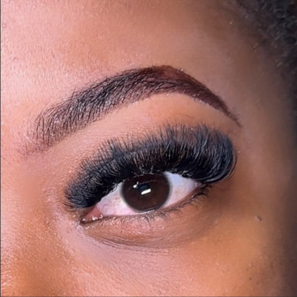 Lashes + Brow Tint