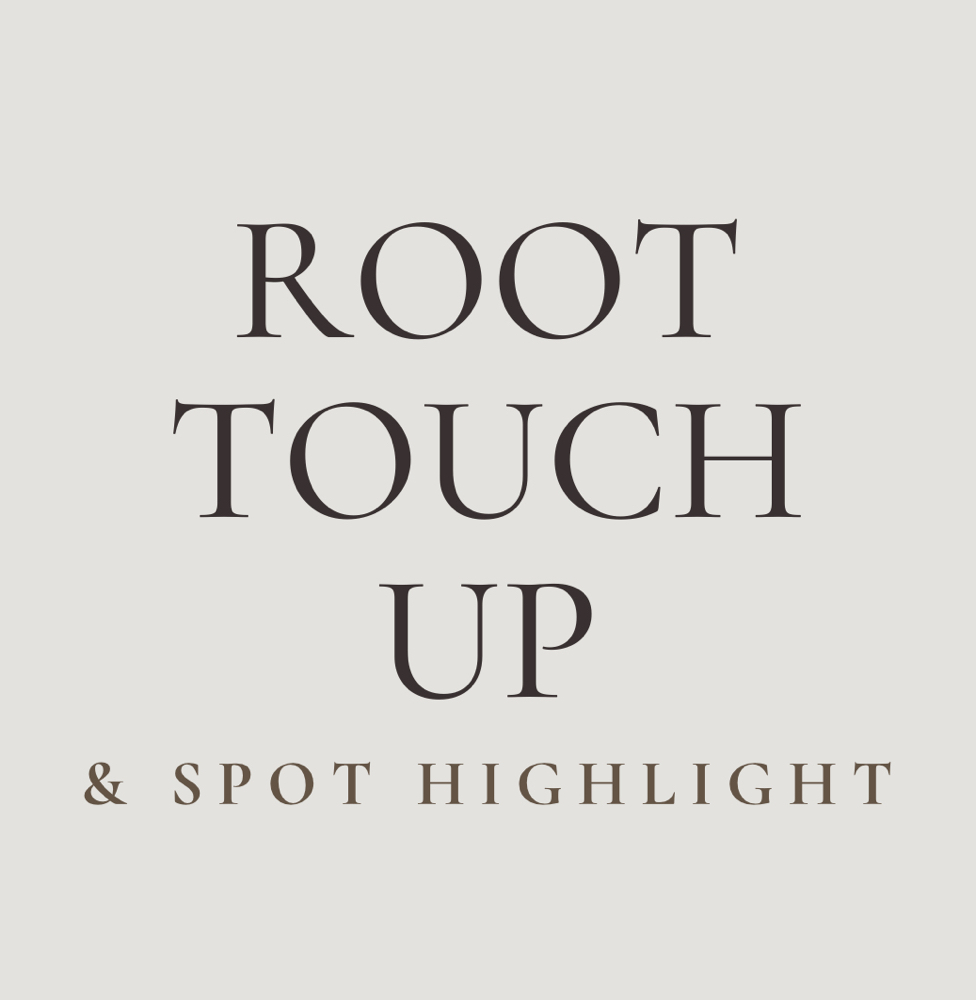 Root Touch Up & Spot Highlight