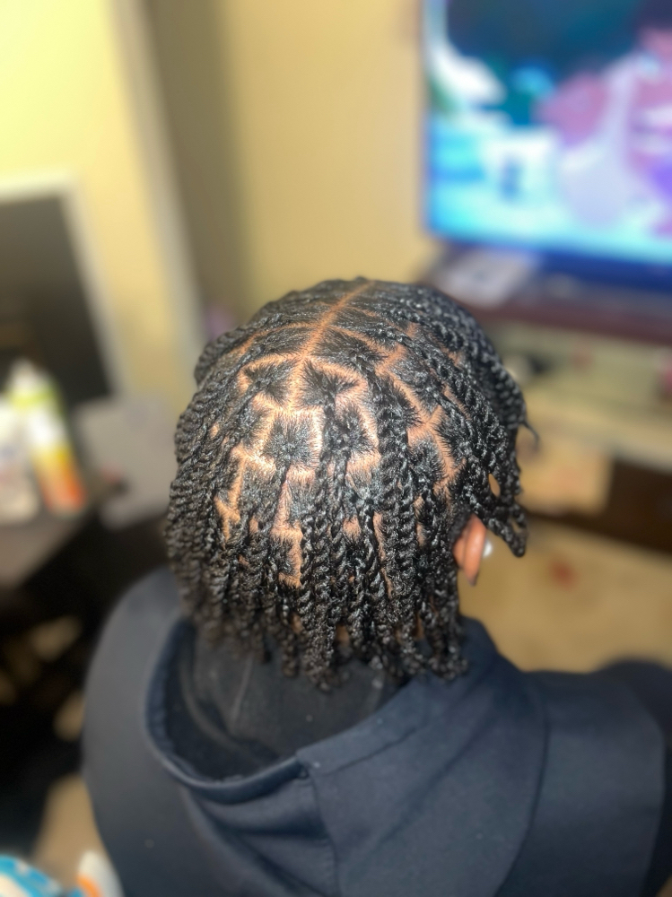 Two Strand Twists