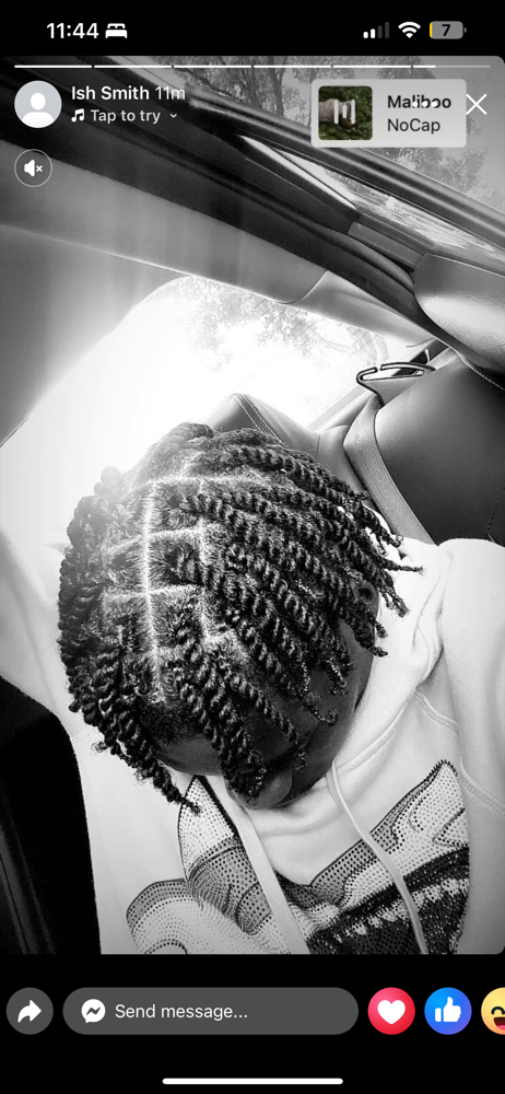 2 Strands Twist