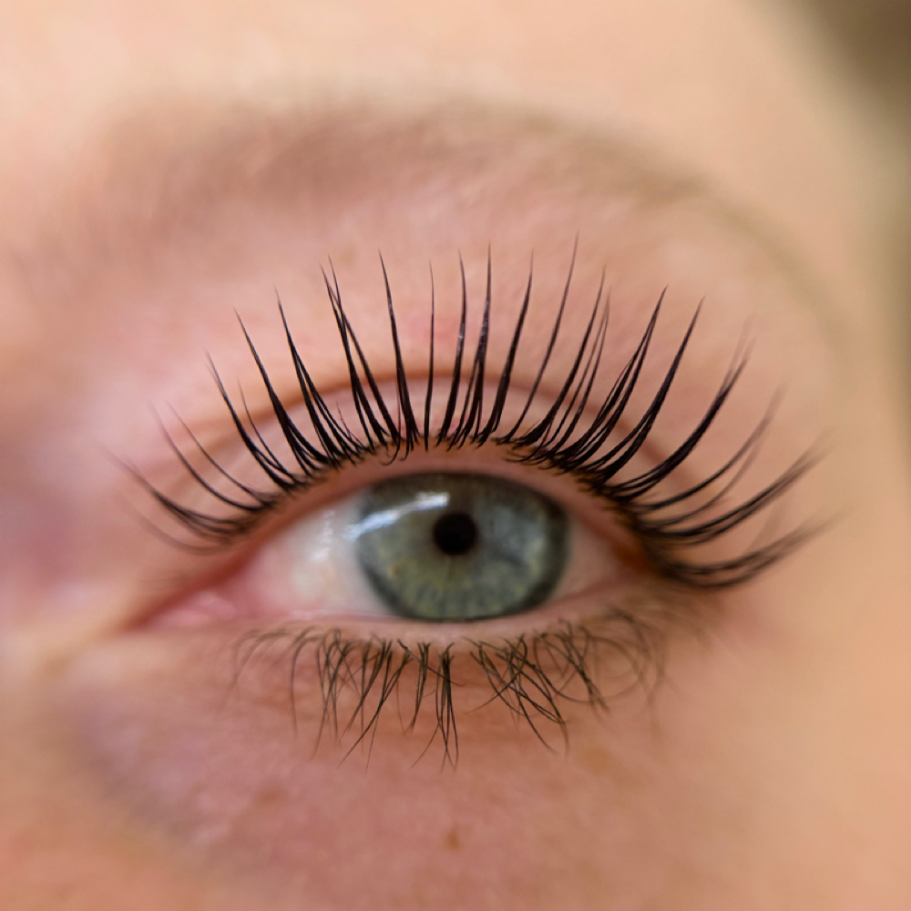Korean Lash Lift at Lashes By Mollyann in Mechanicsville, VA