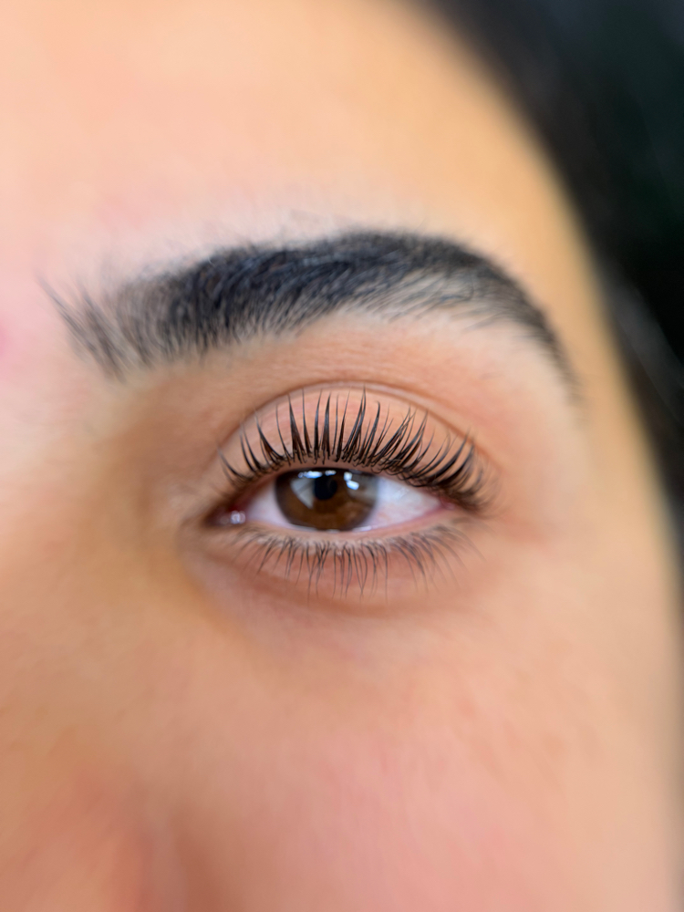 Korean Lash Lift + Tint