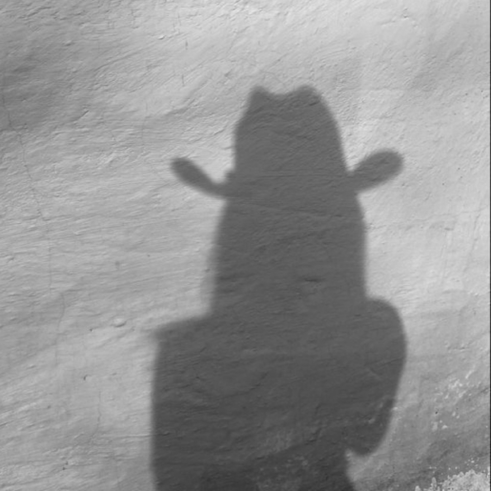 deep conditioning treatmeant at Desert Blonde Suite in Chandler, AZ