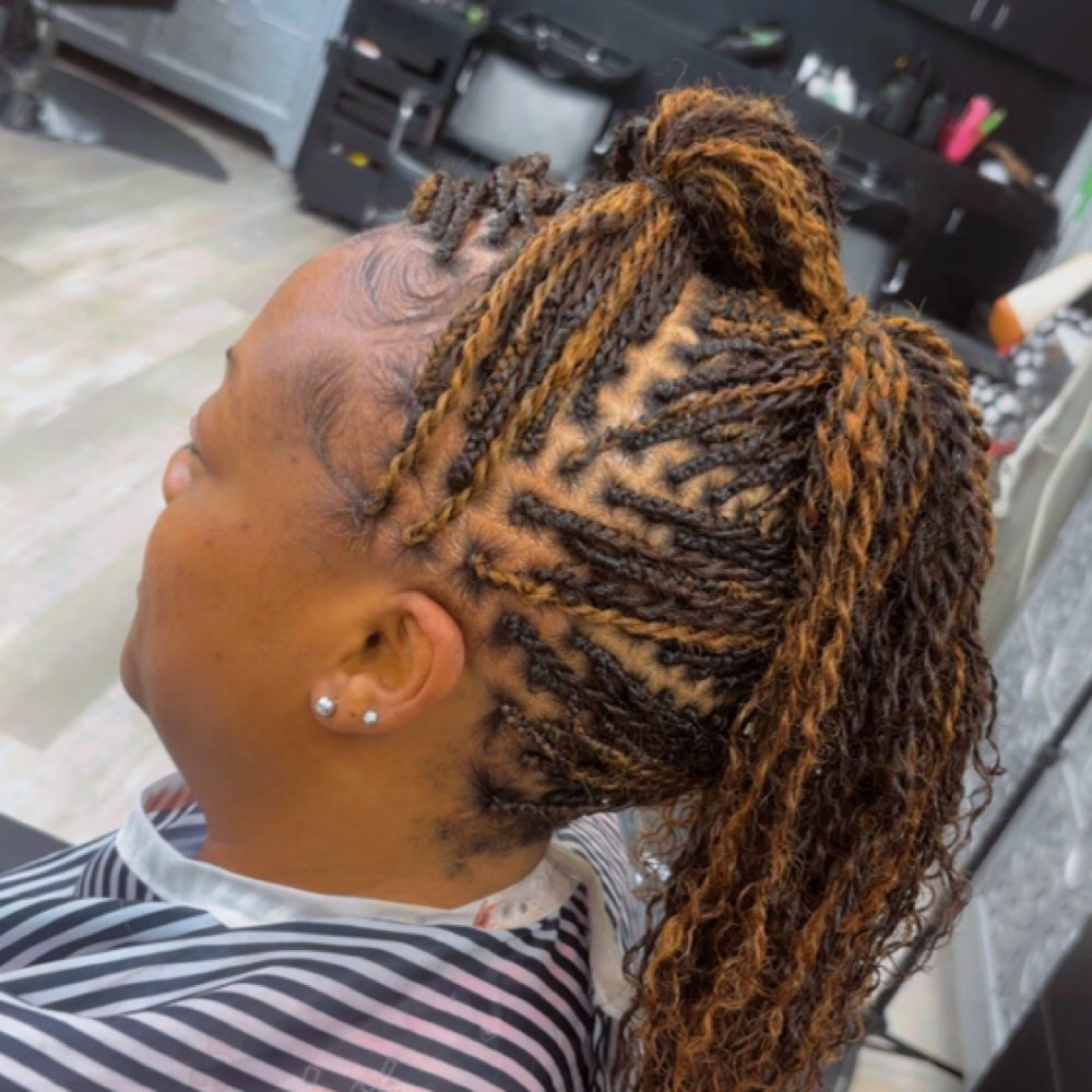 Micro Locs/Twists at Everything Braids in Maitland, FL