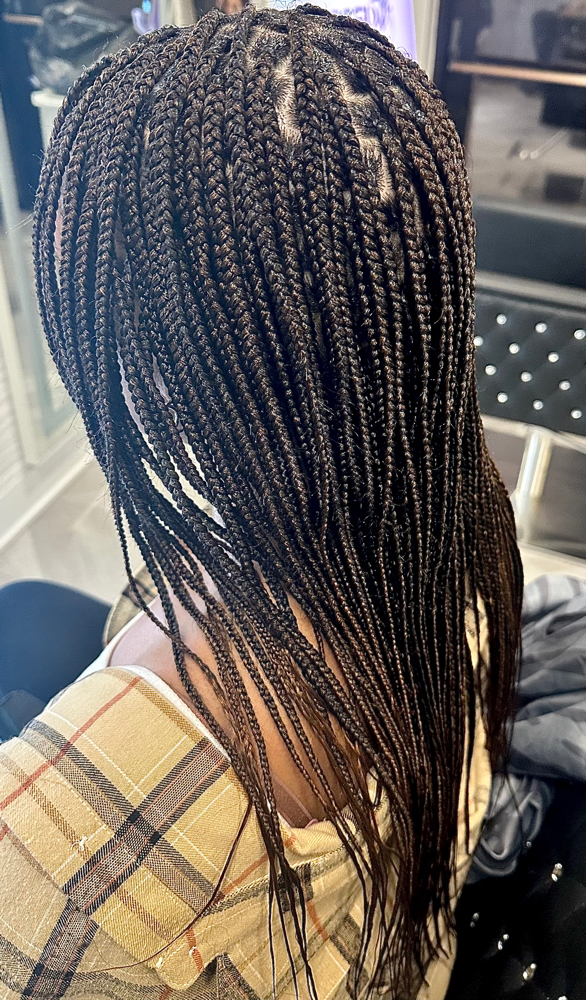 Small Knotlesss Box Braids