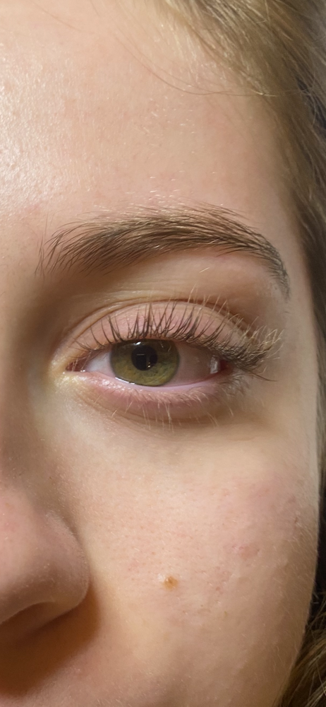 Lash Lift Only (no Tint)