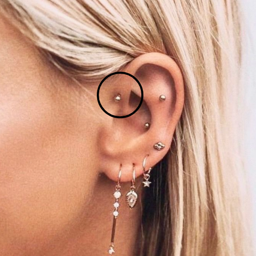 Forward Helix