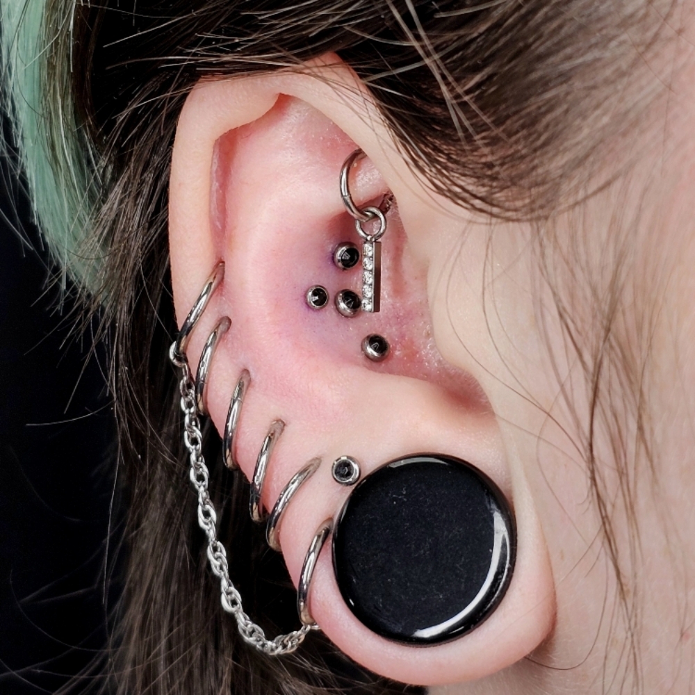Conch (Double/Paired) at Ethereal Adornments Pierced By Cambria in Murrieta, CA