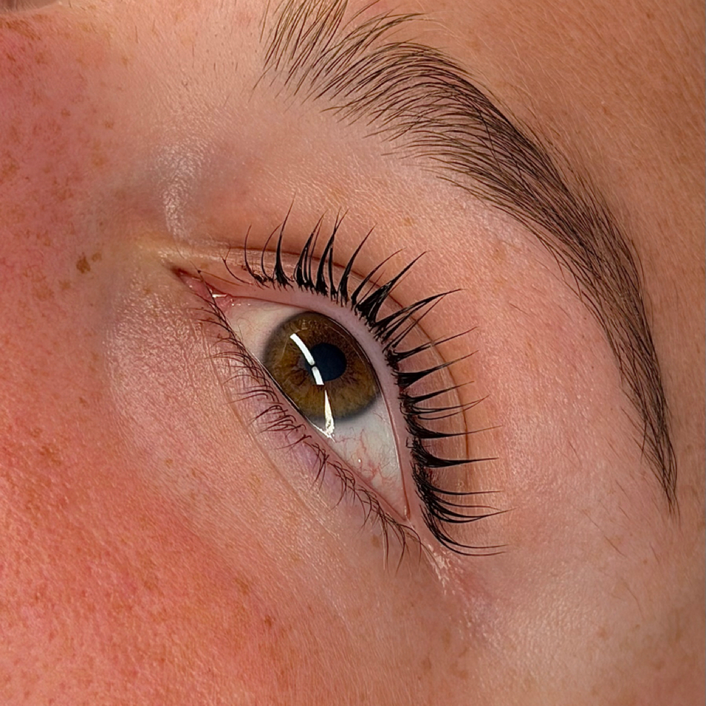Lash Lift & Tint at Eden's Beauty Studio in Feeding Hills, MA
