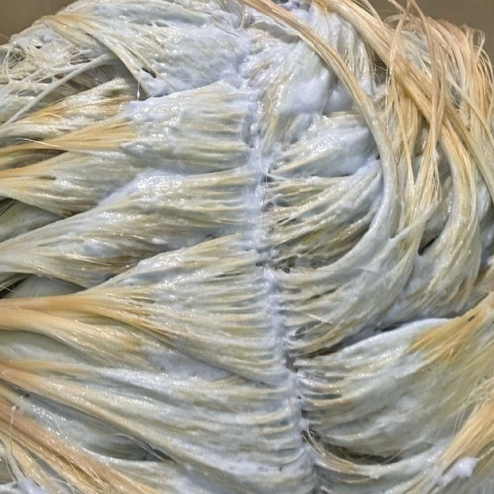 THE BLEACH & TONE at StylesbySydney in Brownwood, TX