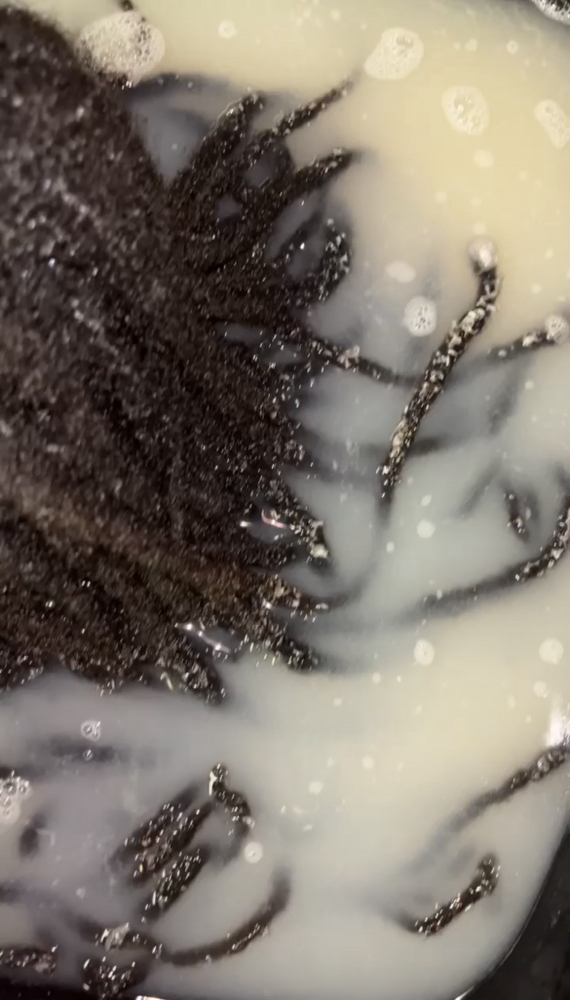 Dread Detox only