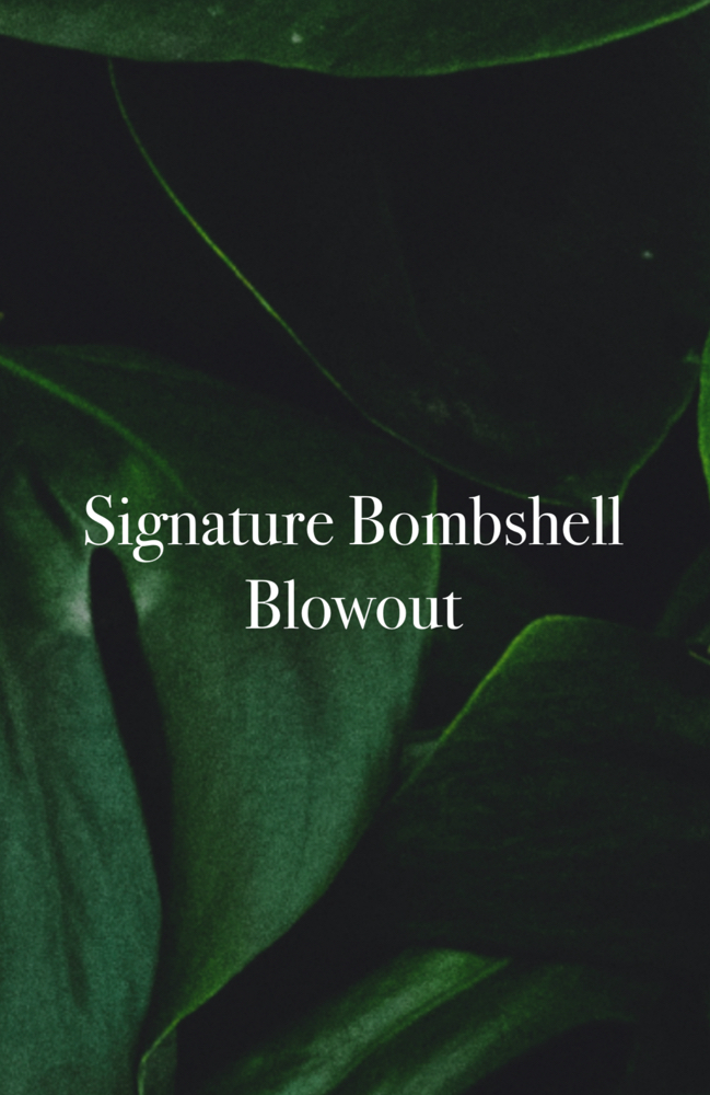 Signature Bombshell Blowout at Anestie Beauty Lounge in Franklin Square, NY