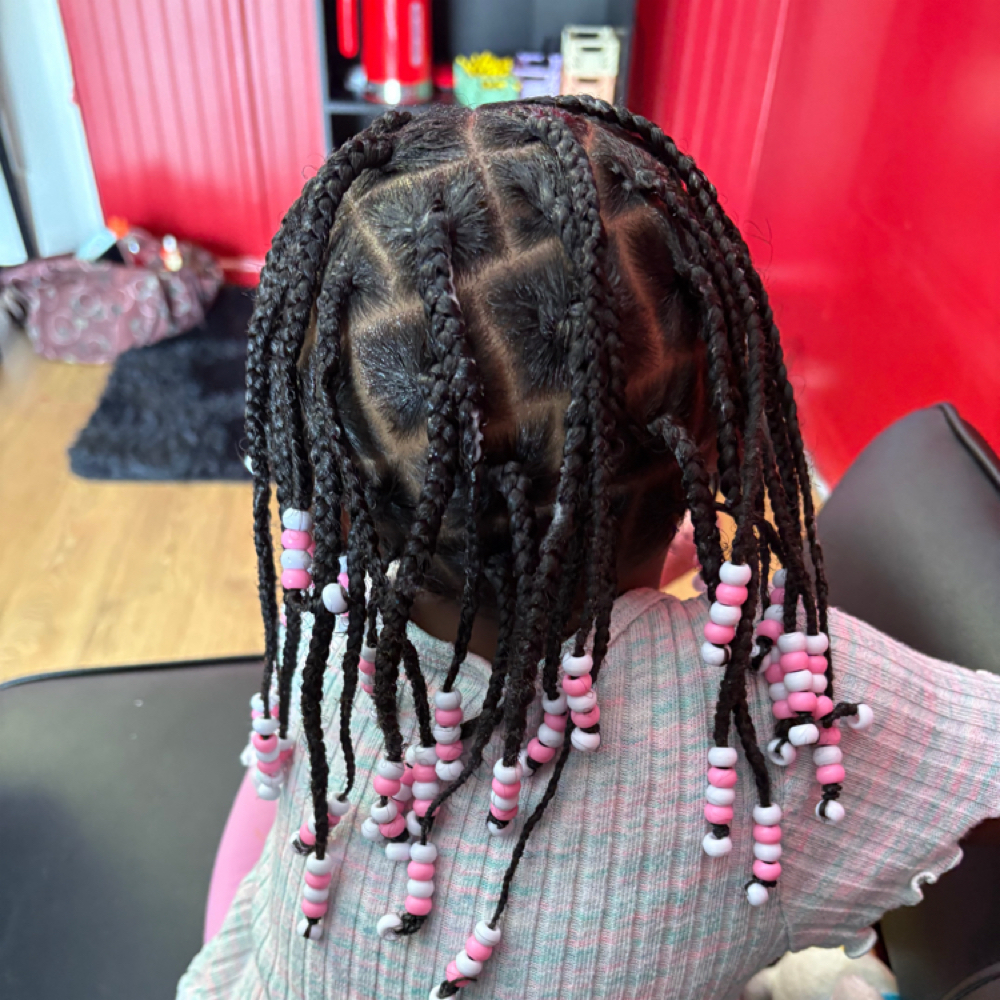 Kids Box Braids Natural Hair at Moèt’s Touch in Scotia, NY