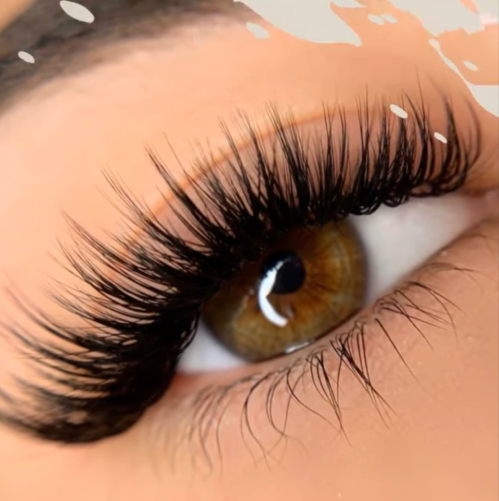 Luxury Lashes