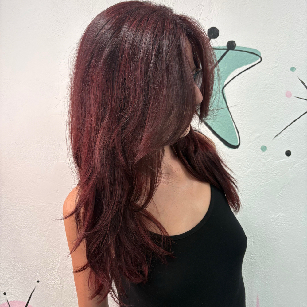 Color Retouch at Danikka’s Planet Glam in Elgin, IL