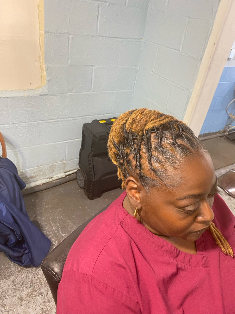 Traditional Locs