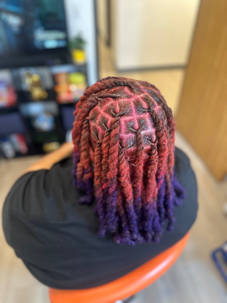 Color only (full head) at BeautyQueen in Houston, TX
