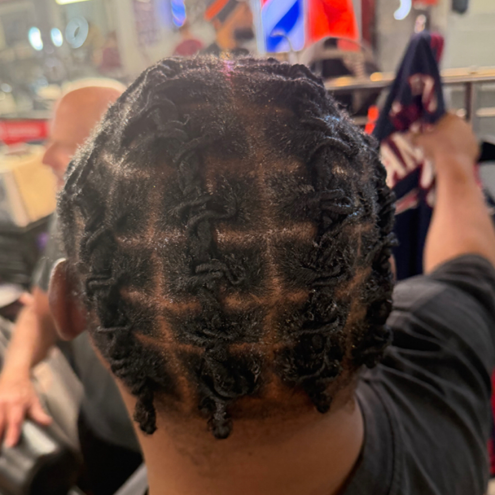 Starter Locs at Lockxury Love in Aurora, CO